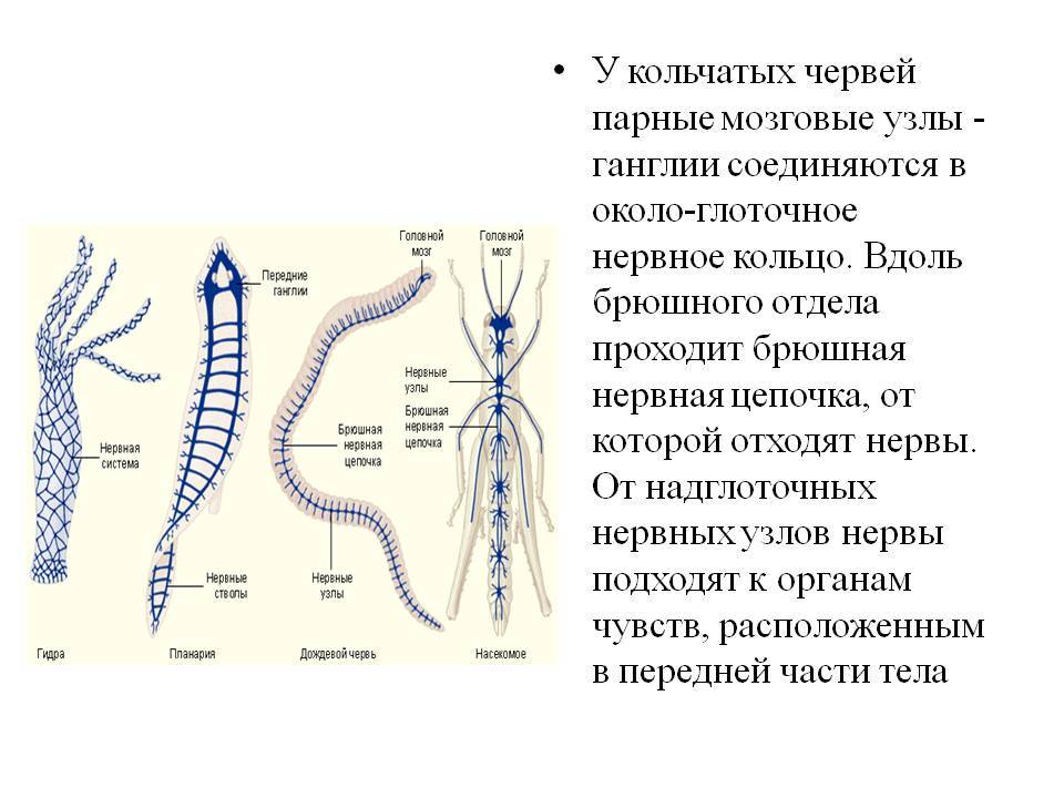 Кракен магазин наркотиков